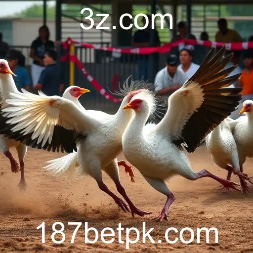 Jogos de Sabong: Uma Tradição Cultural e Entretenimento